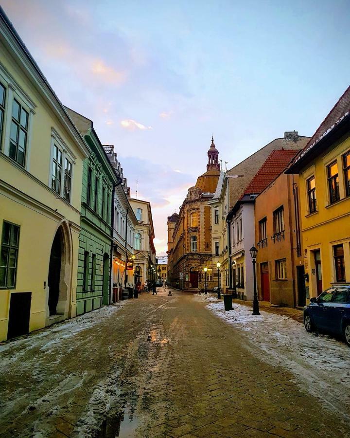 Old Town Vintage Apartment Sturova Kösice Dış mekan fotoğraf