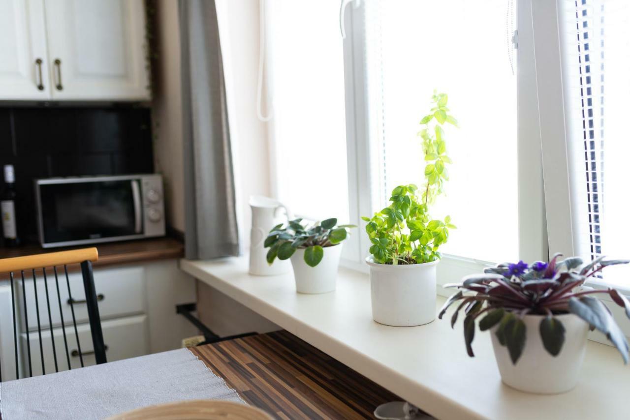 Old Town Vintage Apartment Sturova Kösice Dış mekan fotoğraf