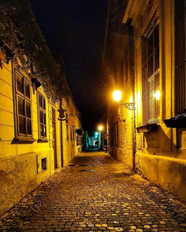 Old Town Vintage Apartment Sturova Kösice Dış mekan fotoğraf